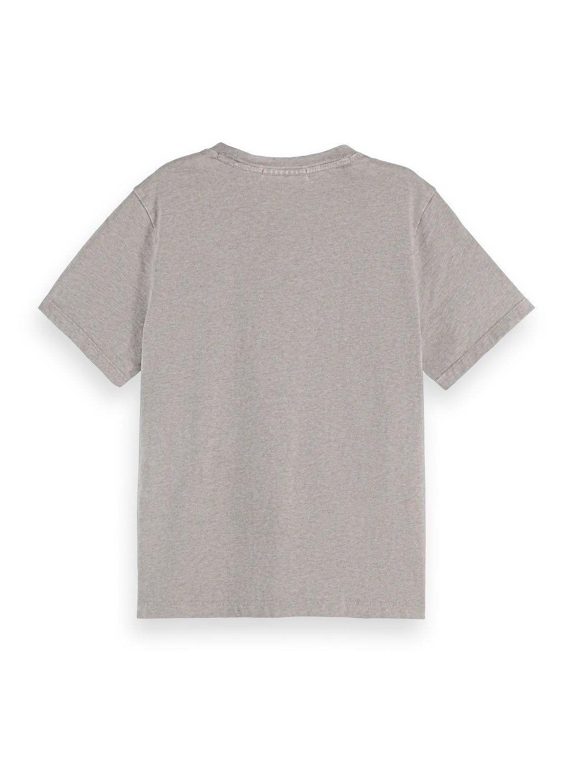 Washed Regular Fit T-Shirt With Graphic