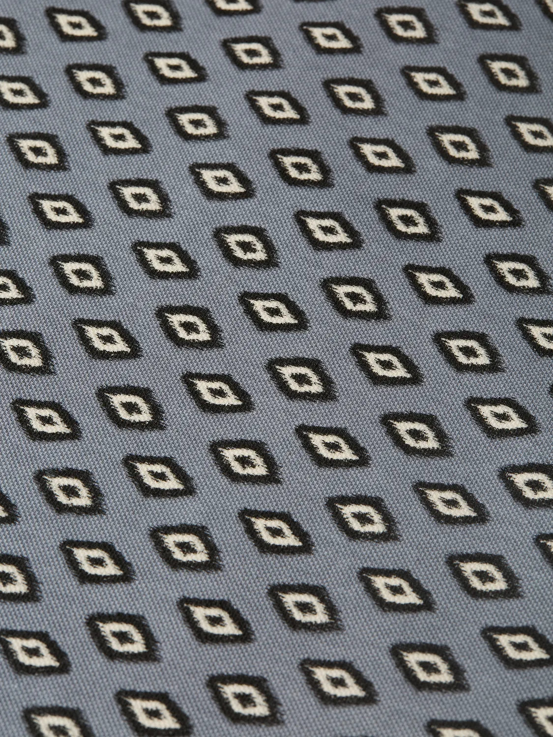 Micro-Printed Regular-Fit Polo