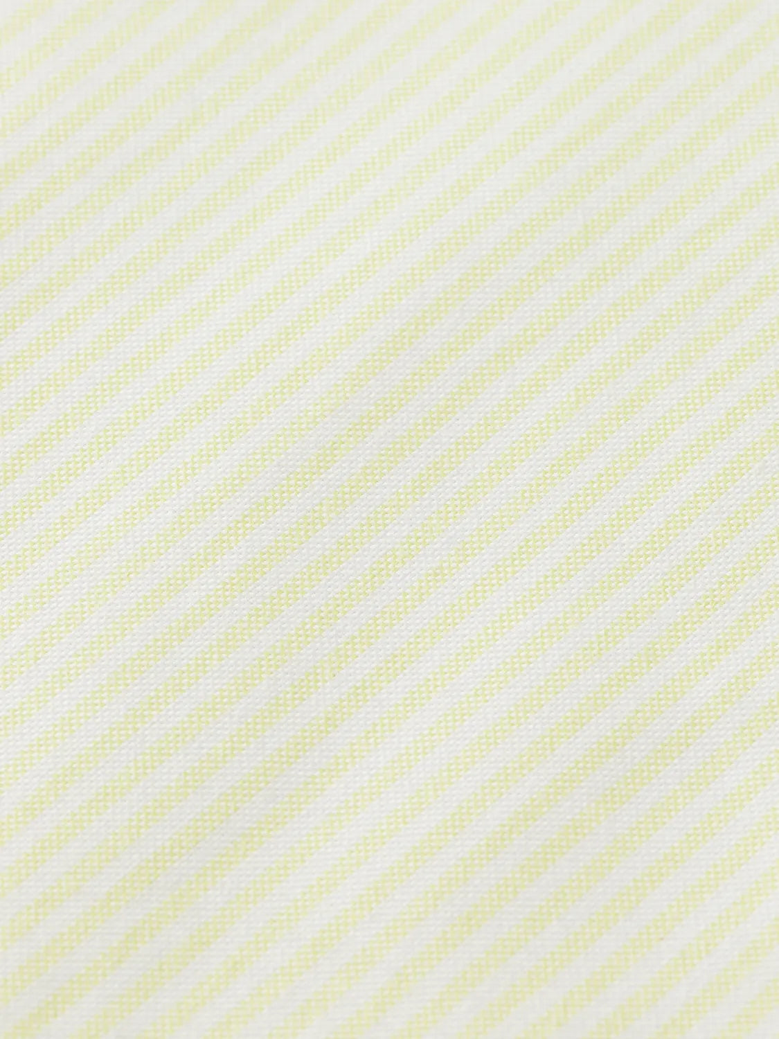 Regular Fit Stripe Oxford Shirt