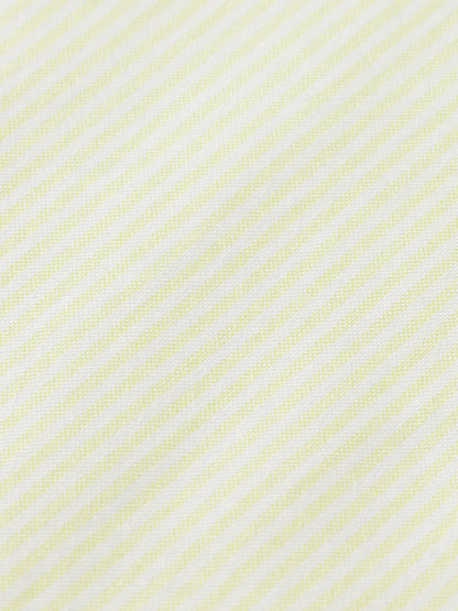 Regular Fit Stripe Oxford Shirt
