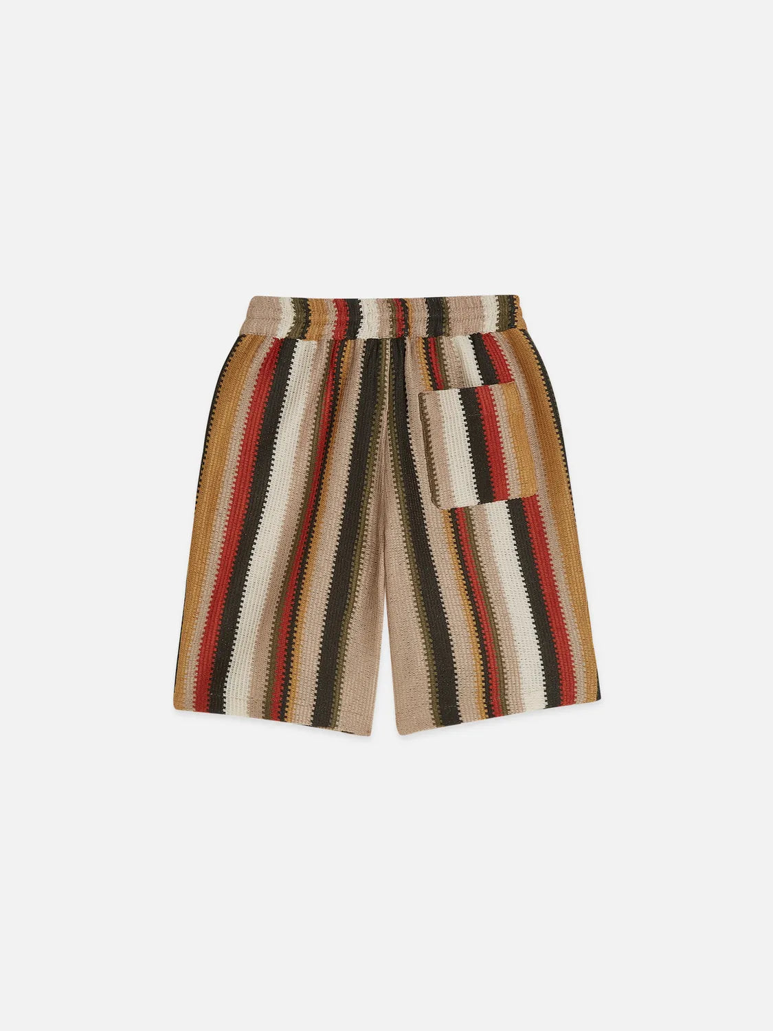 Multicolor Striped Shorts