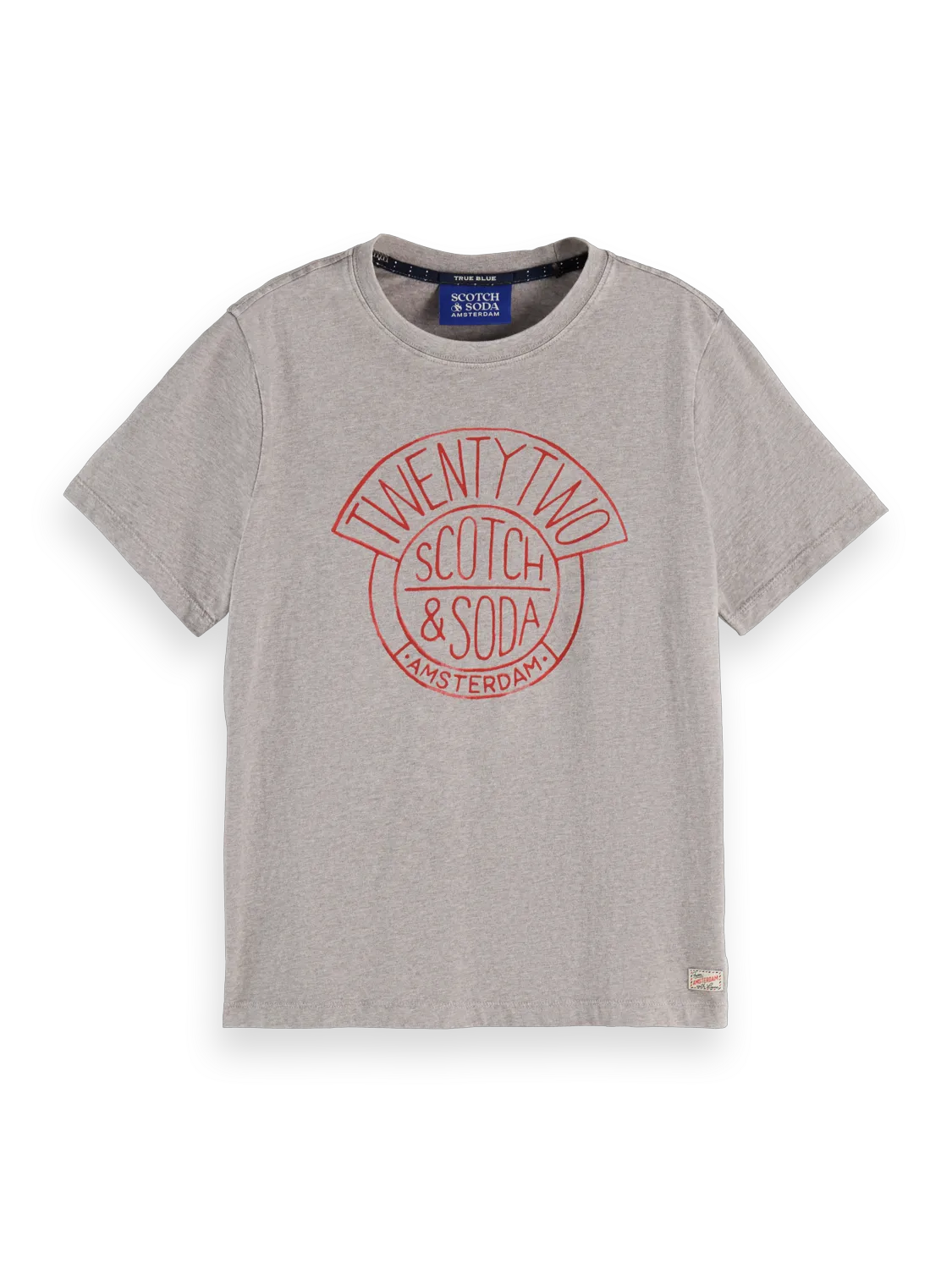 Washed Regular Fit T-Shirt With Graphic