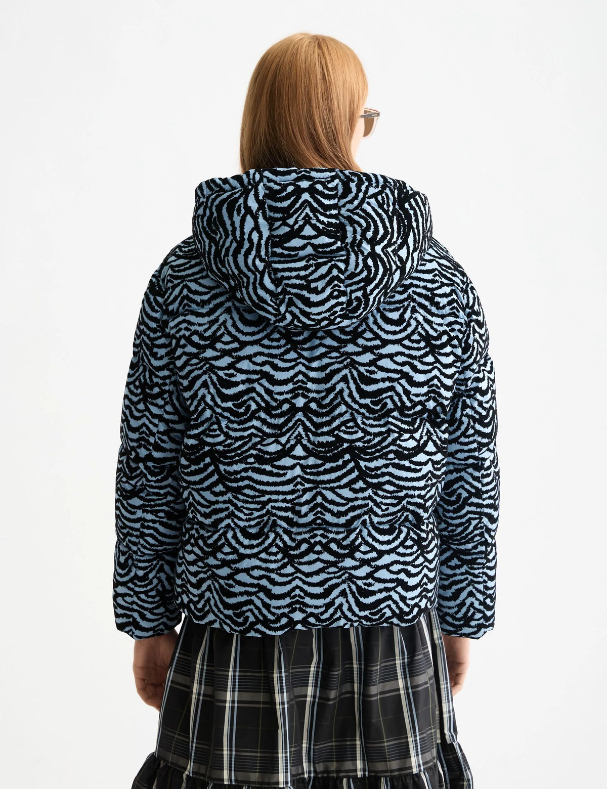 Hooded puffer