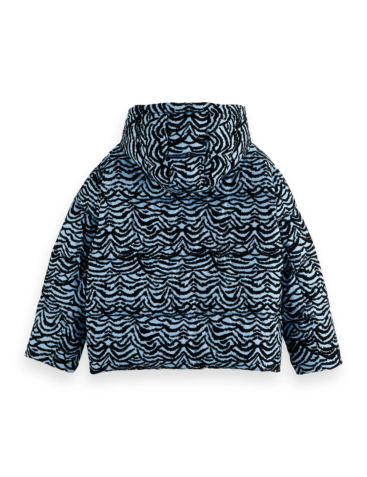 Hooded puffer