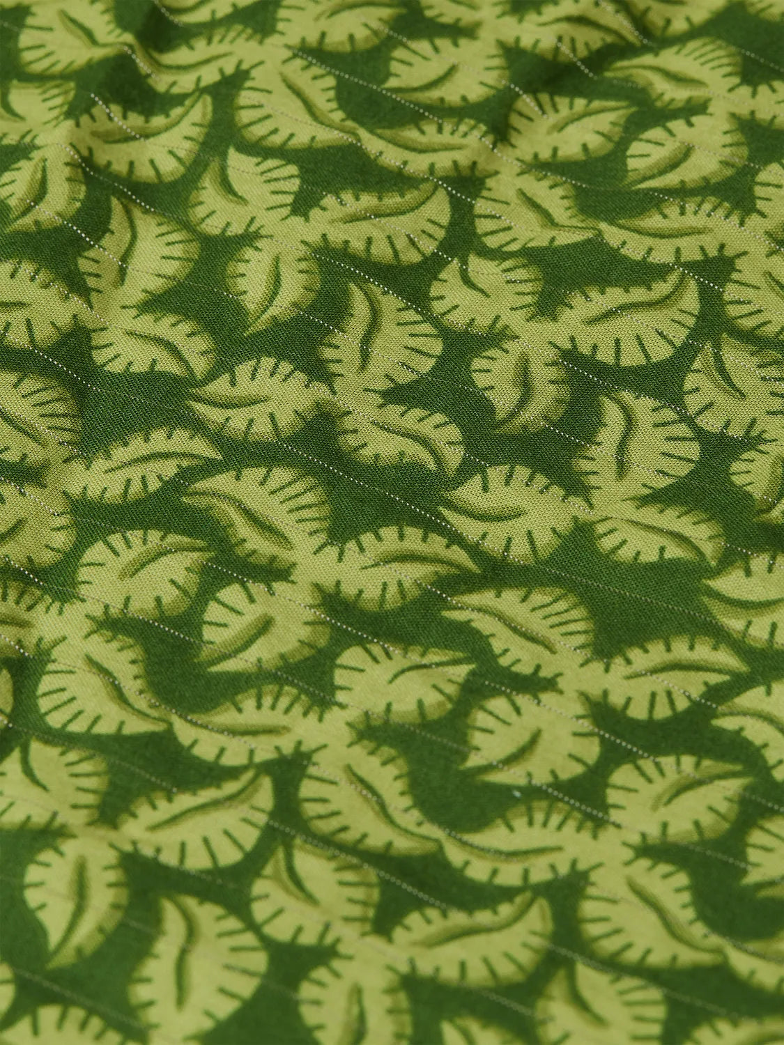 Printed Cotton Shorts